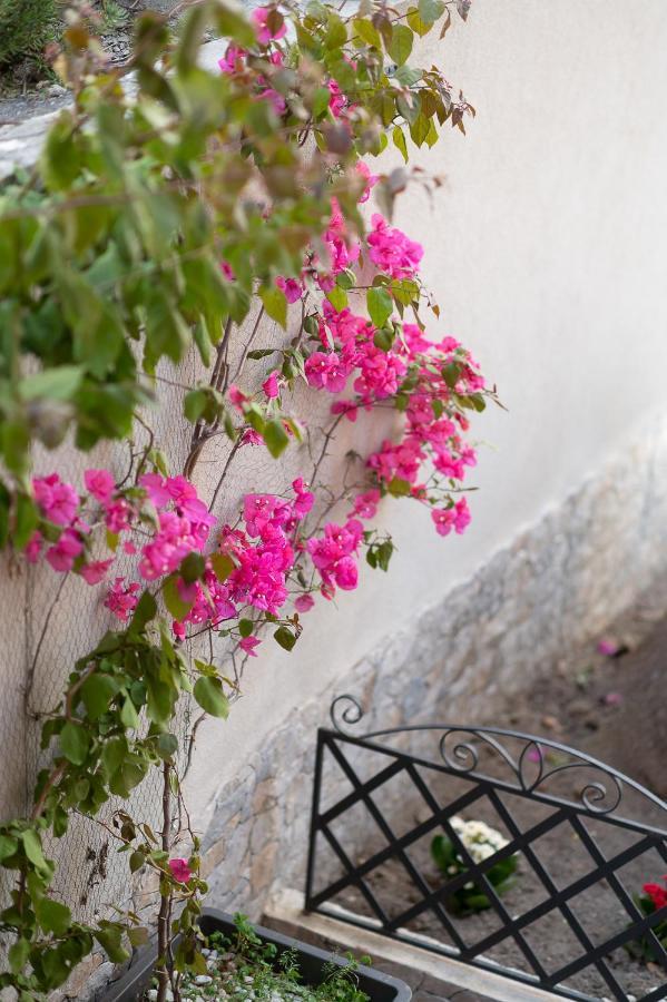 La Magnolia Rooms Procida Luaran gambar